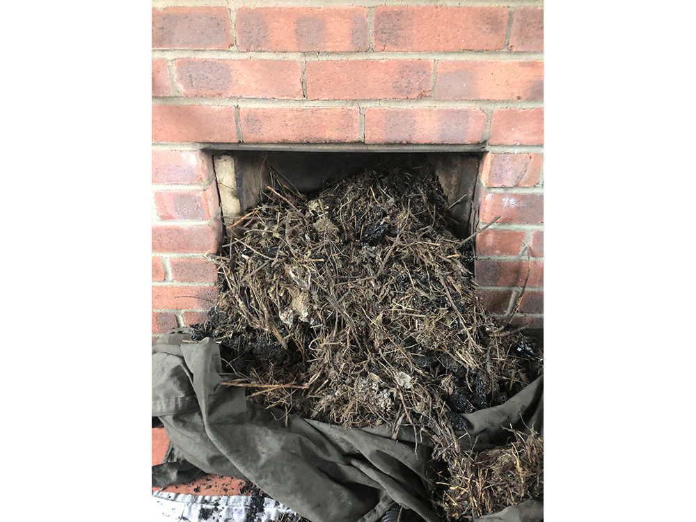 Debris from birds nest in a chimney