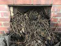 Debris from birds nest in a chimney