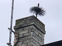 Chimney sweeps brush at top of chimney
